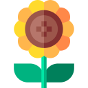 girasol icon