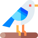 pájaro icon