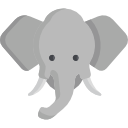 elefante