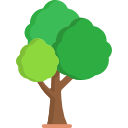 Tree icon