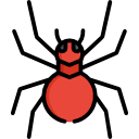 Паук 