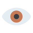 ojos icon