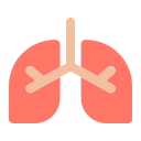 pulmones icon