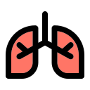 pulmones icon