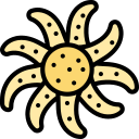 estrella de mar icon