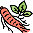 ginseng icon