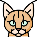 lince icon