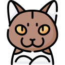 gato munchkin icon