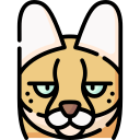 gato cerval icon