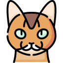 gato somalí icon