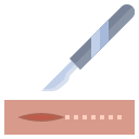 Scalpel 