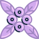 diseño floral icon