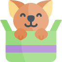 gatito icon