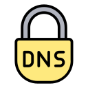 dns icon