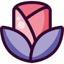 rosa icon