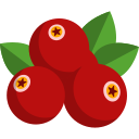 cranberry icoon