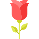 rosa icon