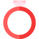 anillo icon