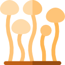 enokitake icon