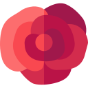 rosa icon