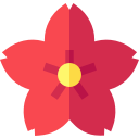 hibisco icon