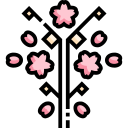 flor de cerezo icon