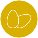 huevos icon