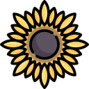 girasol icon