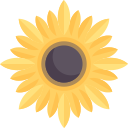 girasol