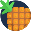 piña icon