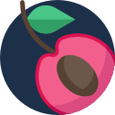 cereza icon