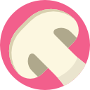 seta icon