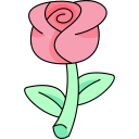 rosa