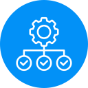 estructura 