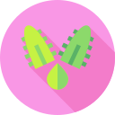 aloe vera icon