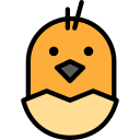 pollo icon