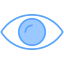 ojo icon