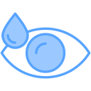 ojo icon