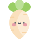 daikon