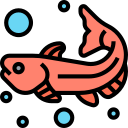 pescado icon