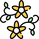 diseño floral 