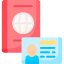 pasaporte icon