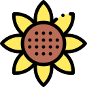 girasol icon