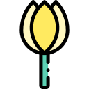 tulipán icon