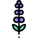 lavanda icon