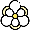 magnolia icon