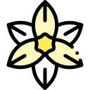 narciso icon