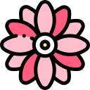 gerberas icon