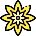 flores icon