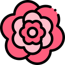 rosa icon